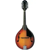 Washburn m1s  мандолина, цвет санберст