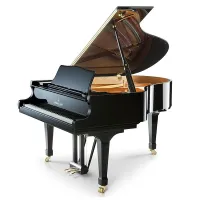 Kawai sk-2la m/ pep