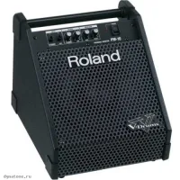 ROLAND PM-10 - Сценический монитор