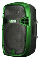 ECO by VOLTA P-12A R Green Face Активная акустическая широкополосная система. Мощность (RMS) 200 Вт. Цвет: черный с зеленой рамкой..