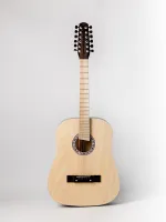 ACD-41A-88-EC Акустическая гитара, 12-струнная, цвет эбен/шампань, АККОРД