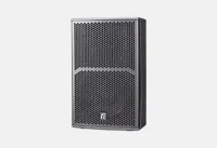 RFIntell TX12 АС сат./мон., 12"+1",60-18000Гц (±3dB）,AES 450Вт, 8Ом, вращ. рупор 80°×50°, 124/130дБ,
