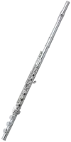 Флейта Pearl Elegante PF-795RBE