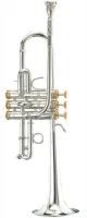 Труба Eb/D Stomvi Elite 5510