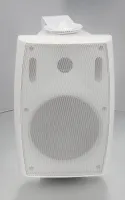 SVS Audiotechnik WS-60 White Громкоговоритель настенный, динамик 8", драйвер 1", 50Вт (RMS)