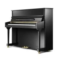 PEARL River EU118 (A111) - Пианино акустическое