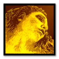 PIRASTRO Evah Pirazzi Gold  415091 струны для скрипки