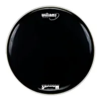 WILLIAMS WS1SC-10MIL-22 - однослойный пластик, 22", черный