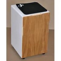 Мозеръ c2sd-1  кахон, с 2 подструнниками, балтийская береза, тапа - дуб, 480х300?300