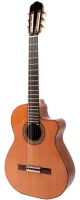 Электрифицированная гитара Raimundo 610E Cedar