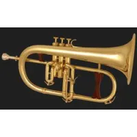 Cannonball Flugelhorn Pro 779 Mad Meg  флюгельгорн профессиональный, прозрачный лак
