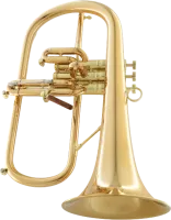 Флюгельгорн CarolBrass CFL-8880-GSS-Bb-L