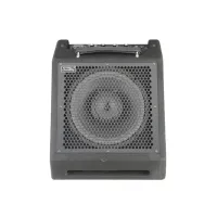 DS30B Монитор для цифровой ударной установки, 30Вт, Soundking