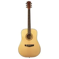 Omni d-120 nt  акустическая гитара, дредноут, цвет натуральный
