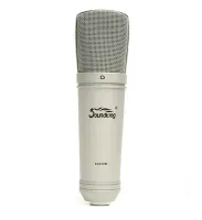 EC010W Микрофон студийный, конденсаторный, Soundking