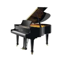 Pearl river gp170 (a111)  акустический рояль, длина 170 см, цвет чёрный полированный