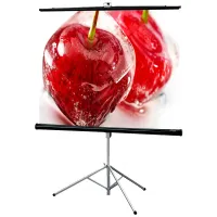 Экран Consul AV (1:1) 70/70" 178*178 XT1000E (MW)