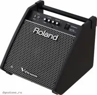 ROLAND PM-100 - Сценический монитор