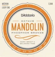 Комплект струн для октавной мандолины D'Addario EJ80