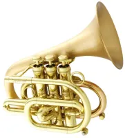 Карманная труба Bb CarolBrass Legendary CPT-7000-GLS(Dizzy)-Bb-L