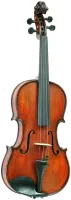 Альт Gliga Gems1 AW-V175-S