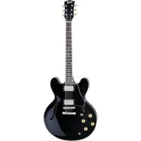 Burny rsa65 blk  полуакустическая электрогитара с кейсом, форма корпуса es®-335, цвет черный
