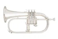 JP175S Флюгельгорн Bb, посеребренный, John Packer