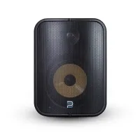 Bluesound professional bsp1000 blk - сетевая активная двухполосная акустическая система 6,5", питание poe, ip65, цвет: черный