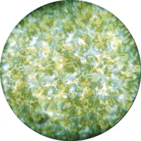 Гобо стекл. эффект Colorizers Glass Gobos Stipples Green Yellow 55008