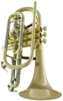 Корнет Bb CarolBrass CCR-6882T-GSS-Bb-SLB