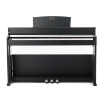Beisite B-808 Pro BK - Цифровое пианино, полифония 256 нот, 88 клавиш, цвет чёрный, , шт