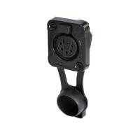 Rean RRX5F-Z-002-0-  5-ти пиновый панельный разъём XLR "мама"