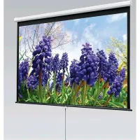 Экран Luma 2 format (16:10) 419/165" 222*356 XT1000E