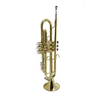 Artist TR-765L Труба Bb, покрытие золотой лак