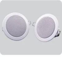 RCS 4/ Металлический потолочный громкоговоритель 4",4 Вт, 80 мм драйвер, без трансформатора / PENTON