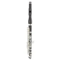Arnoldsandsons apc-110  флейта-пикколо, корпус гренадин