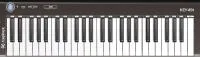 ДЕМО Уценка MIDI клавиатура [AX-1973KR_D1] Axelvox [KEY49j Black] 4-октавная (49 клавиш) динамическая USB, 3 кнопки, джойстик (Pitch Bend и Modulation), 1 программируемый фейдер, вход Sustain педали, выключатель питания, питание от USB. Цвет черный.
