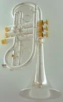 Корнет Eb CarolBrass Legendary CCR-7775-YSS-Eb-SG