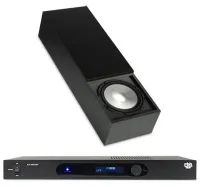 Сабвуфер активный встраиваемый RBH SI-12P (SI-12 + SA-250DSP)