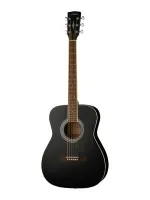 Parkwood PF51-BKS - Гитары иных форм
