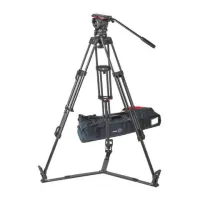 System FSB 10 ENG 2 CF штативный комплект Sachtler