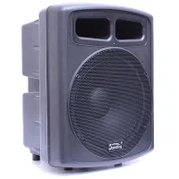 SOUNDKING FP0115A Активный сабвуфер, 300Вт, Soundking
