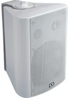 Direct Power Technology WL-140W настенный громкоговоритель