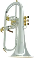 Флюгельгорн CarolBrass CFL-6200-GSS-Bb-SGG(PIB)