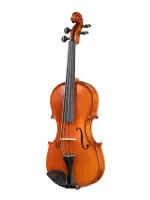 Скрипка Gliga Gems 1 AW-V044-O 4/4