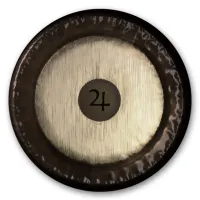 0223381728 PG81728 Planet Gong F#2 Jupiter Гонг 28", Paiste
