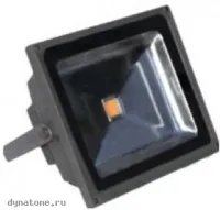 RICH LED RL-FL-12-50-G - Светодиодный прожектор