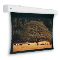 Экран с электроприводом настенно-потолочный Projecta Tensioned Elpro Large Electrol, 199" 16:9 HD Progressive 1.1, область просмотра 248x440 см. дроп 30 см., длина корпуса 497 см. (10103976)