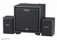 ROLAND CUBE MONITOR CM-220 - Акустическая система