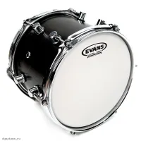 EVANS E13J1 - Пластик 13"